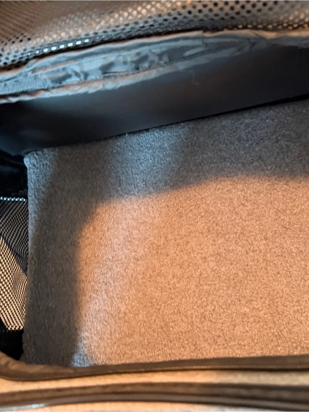 Dog traveling luggage small
